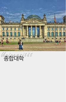 종합대학