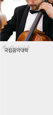 국립음악대학