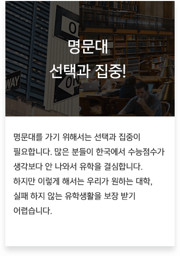 명문대 선택과 집중!