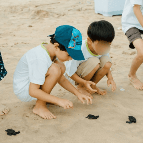 발리 SIP 가족 영어캠프 해변 생태 관찰활동