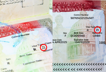 공립 vs 사립 교환학생