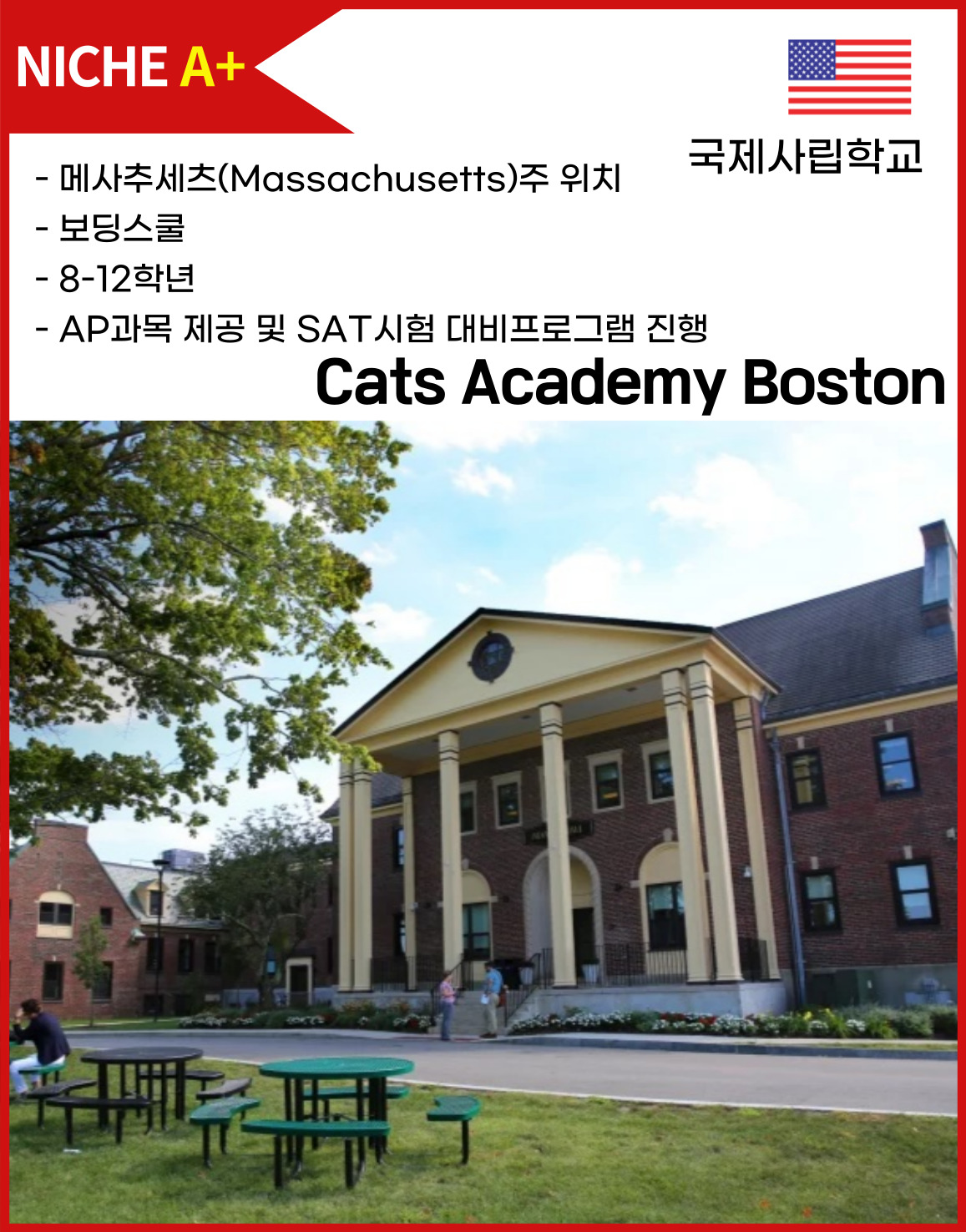 Cats Academy Boston | 캣츠보스턴