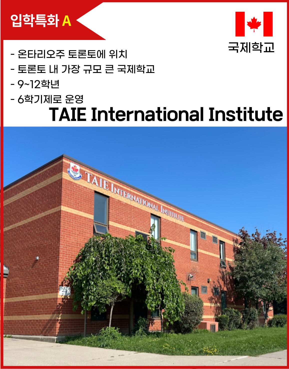 Taie International Institute