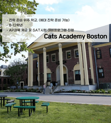 Cats Academy Boston (캣츠 아카데미 보스턴)