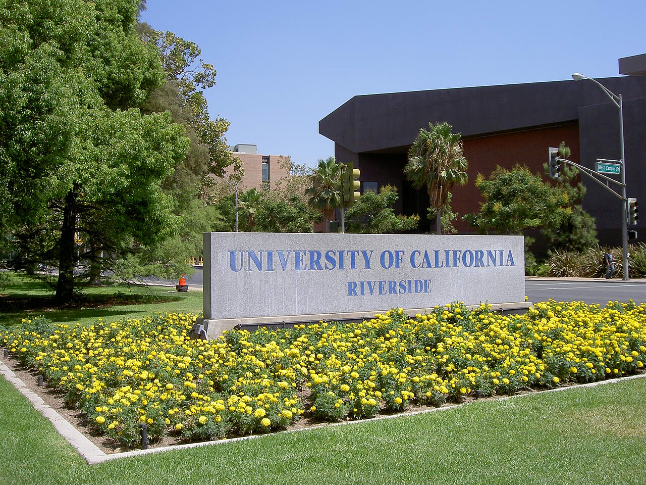 캘리포니아대학교 리버사이드 (UC Riverside)
