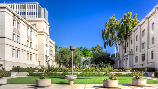 California Sci. of Tech. (Caltech)