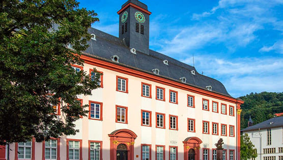 Ruprecht-Karls-Universität Heidelberg